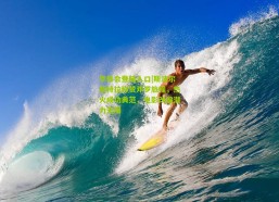 华体会登陆入口|斯波尔斯特拉称赞邓罗旅程，热火成功典范，电影改编潜力无限