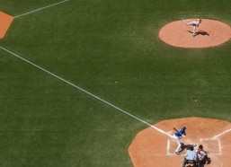 华体会入口_安德烈耶娃圆梦迎爱犬，携萌宠亮相节目引热潮