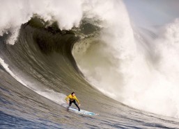 【华体会入口】德转公布最新国家队身价榜，英法西占据前三甲，阿根廷位列第九引关注