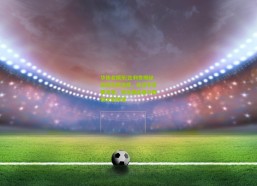 华体会娱乐|比利奇揭秘国安执教选择，薪资非首要考量，俱乐部底蕴与规模才是关键