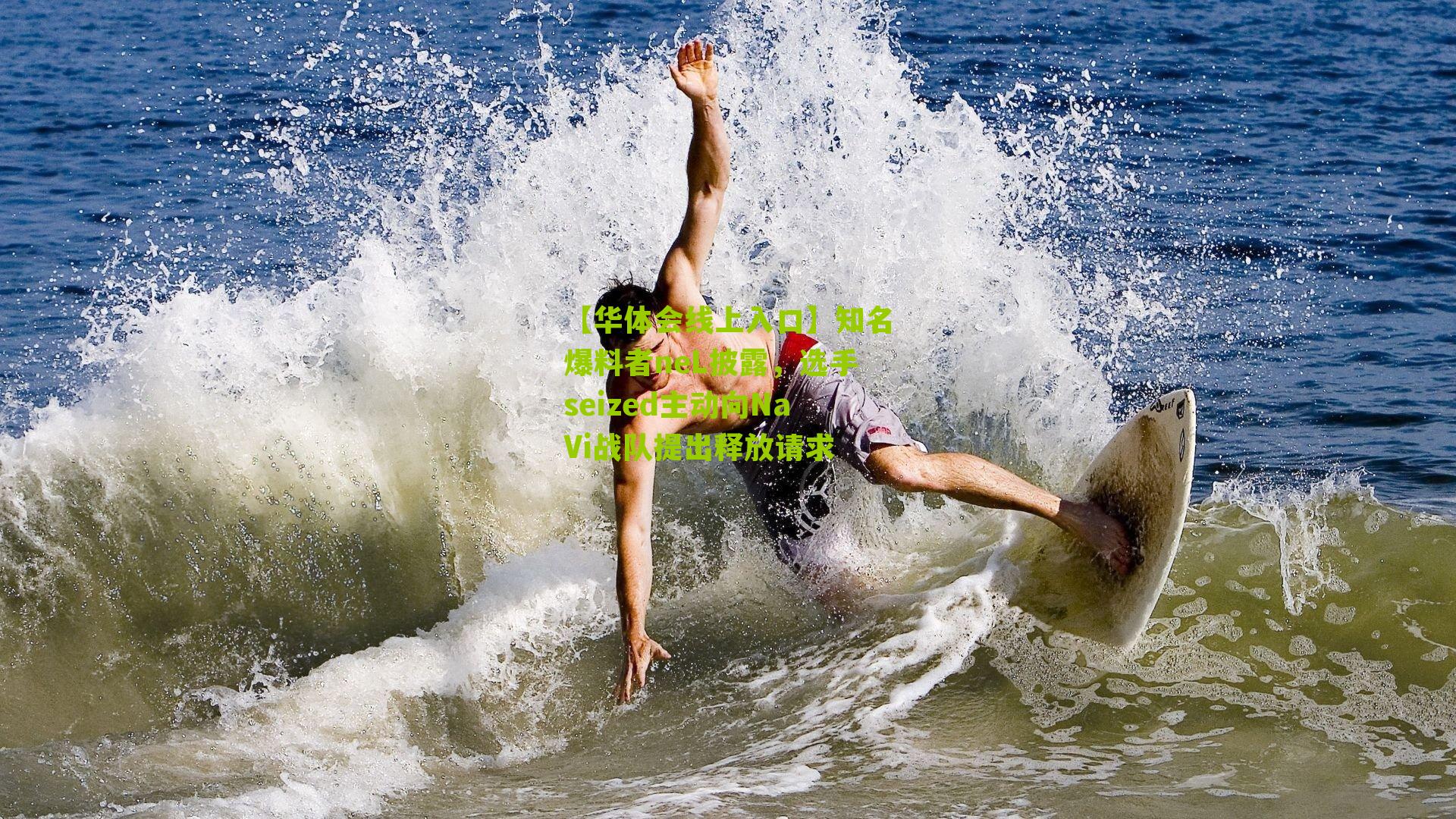 知名爆料者neL披露，选手seized主动向NaVi战队提出释放请求